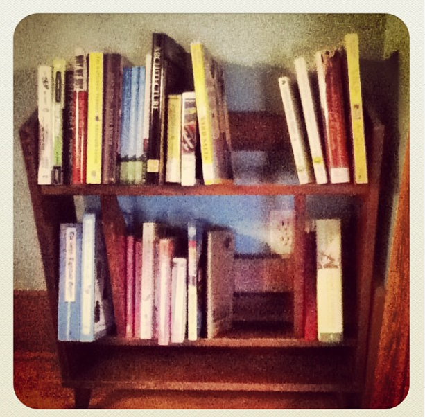 Living room bookshelf