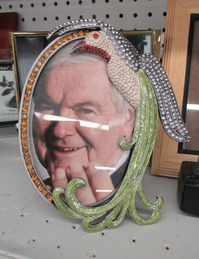 Flamboyant Newt Gingrich