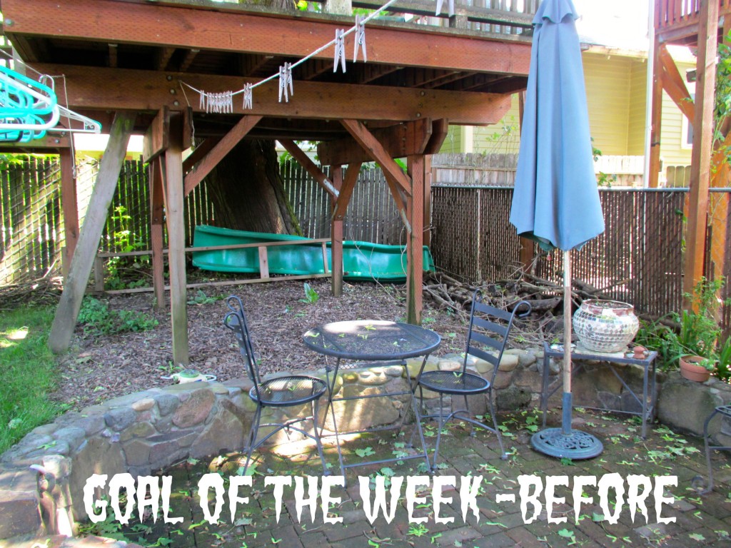 Backyard goal of the week