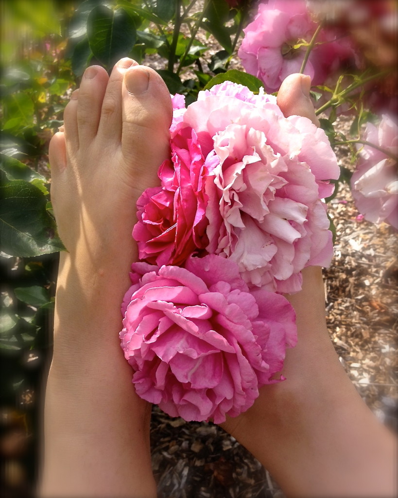 Feet roses