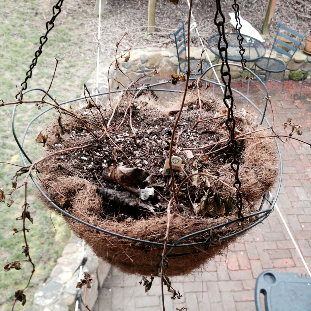 Hanging basket