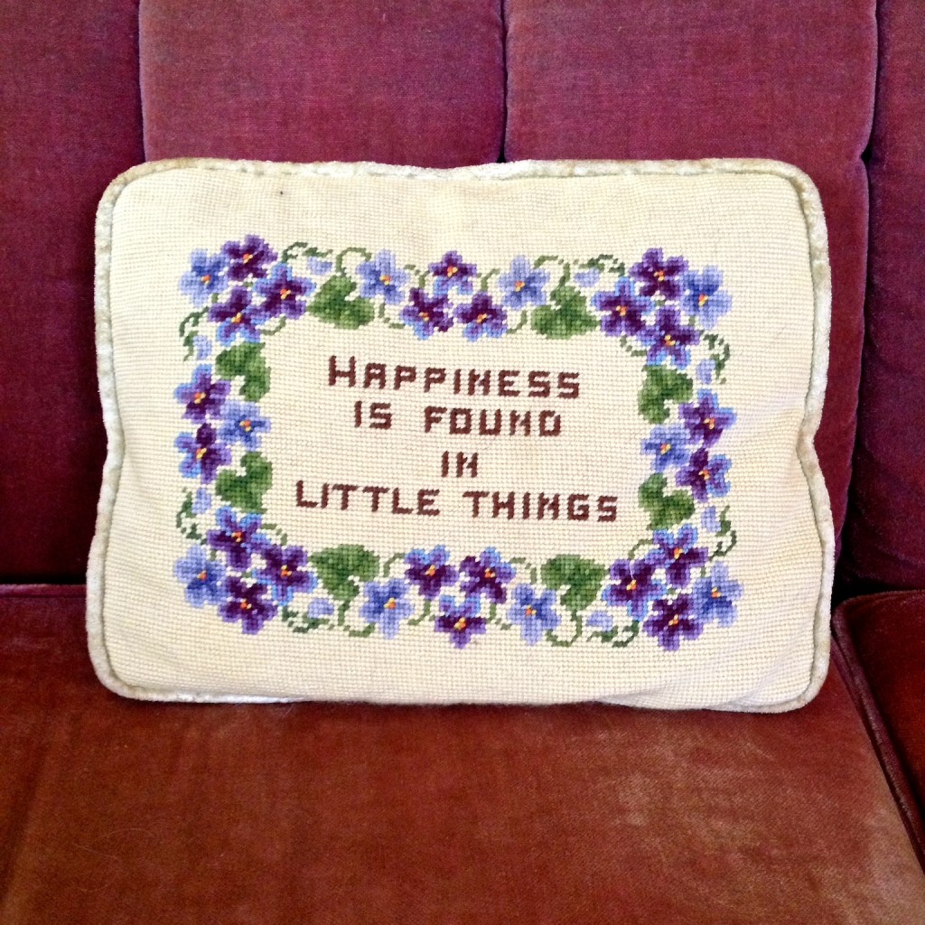 Happiness is Found in Little Things