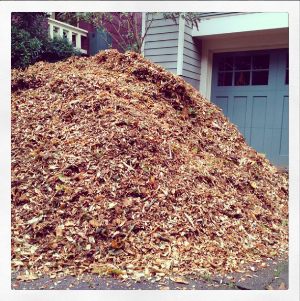 Mulch