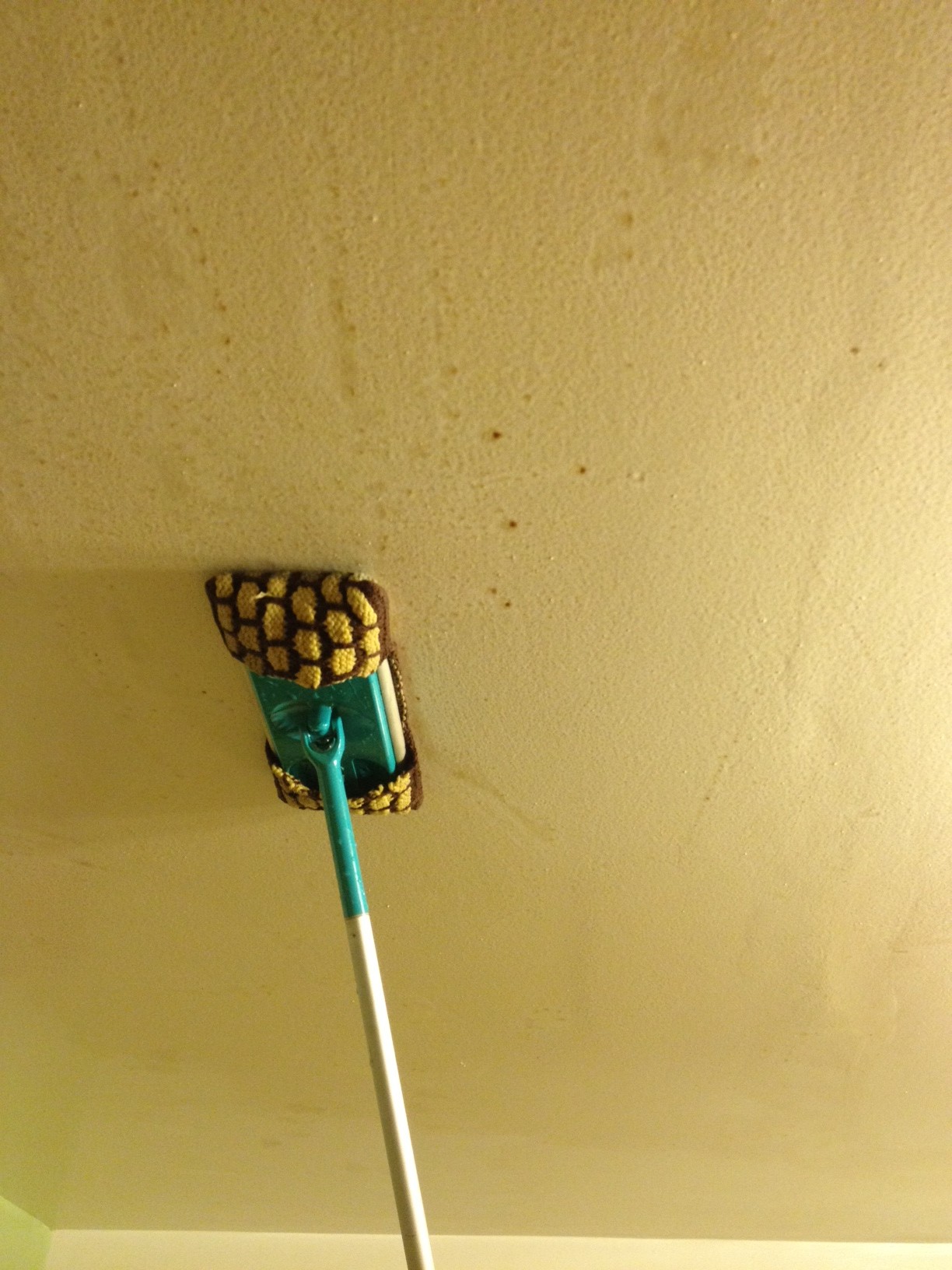 Cleaning My Kitchen Ceiling. Why, What Do You Do on a Friday Night? The NonConsumer Advocate