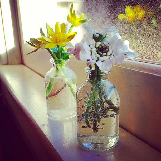 Medicine jar vases