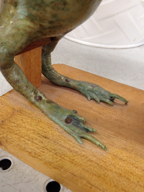 nailed frog feet