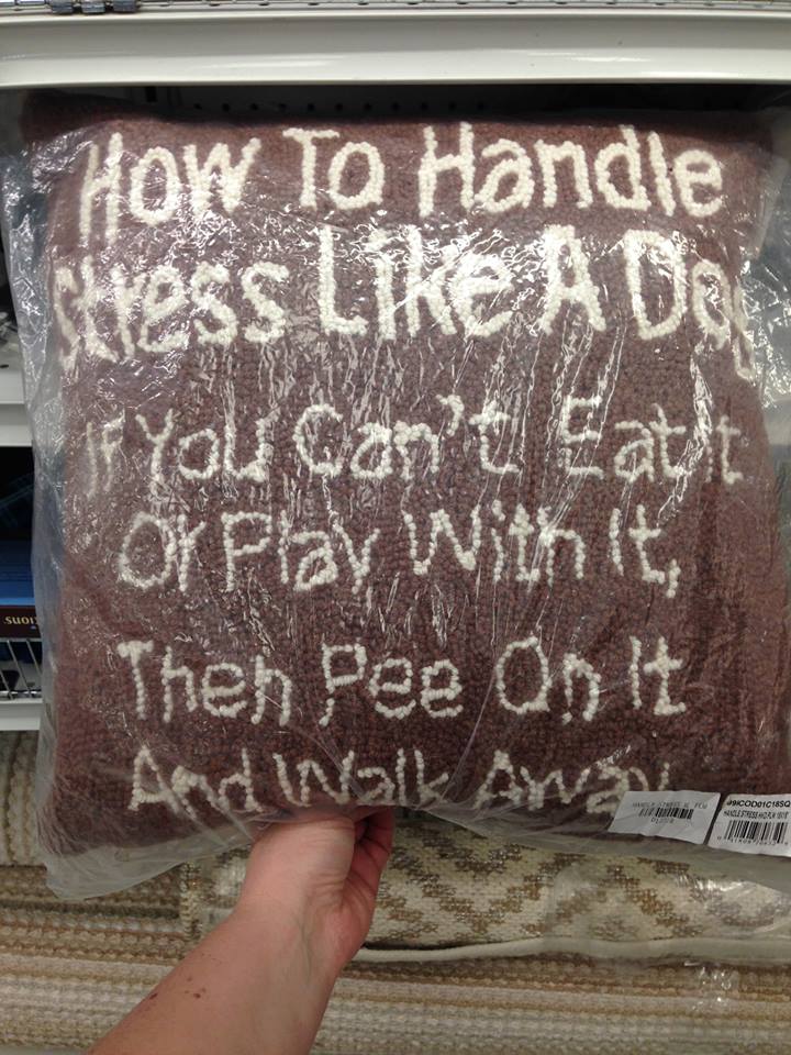 Worst pillow