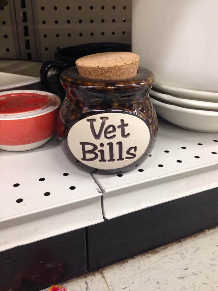 vet bills