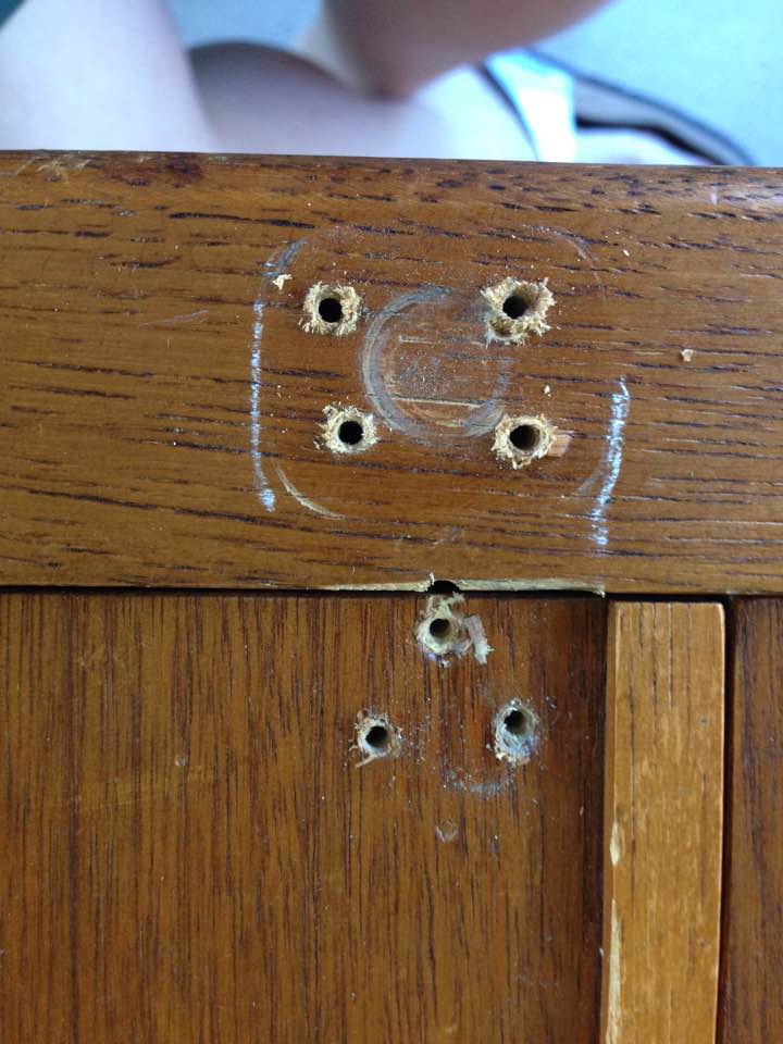 holes in wood