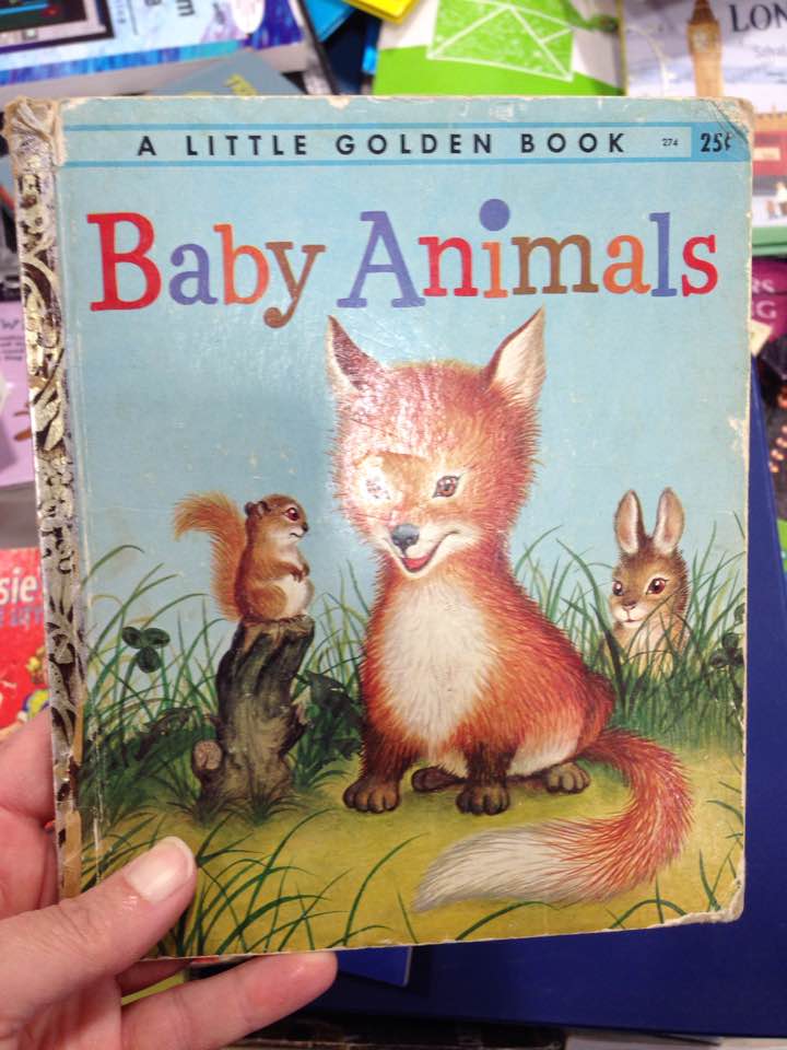 baby animals book