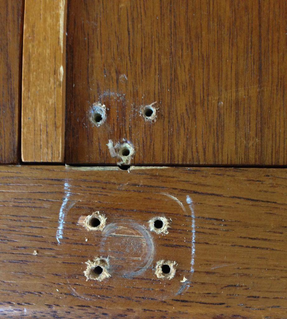 wood holes