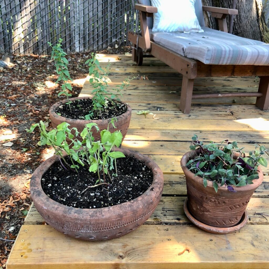 Found this set of pots at goodwill, are they safe to use? My mom