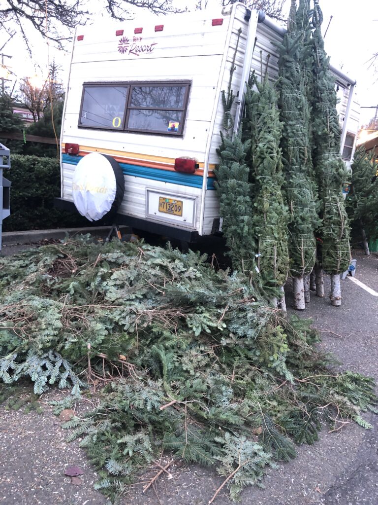 Five More Frugal Things -- Free Holiday Decor!