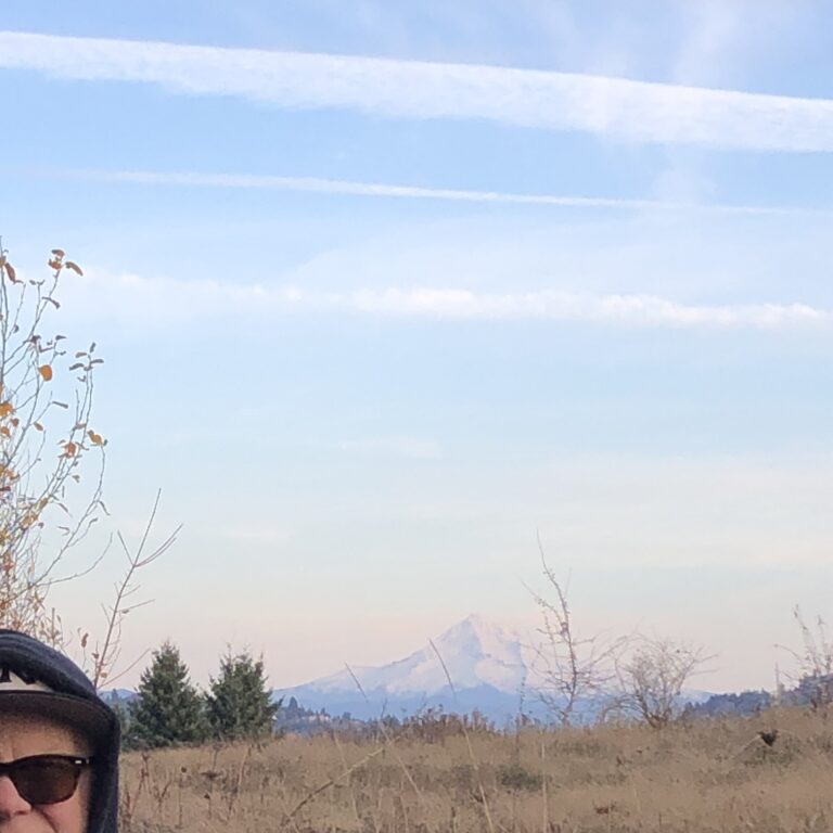 Five Frugal Things -- Leftovers Abound