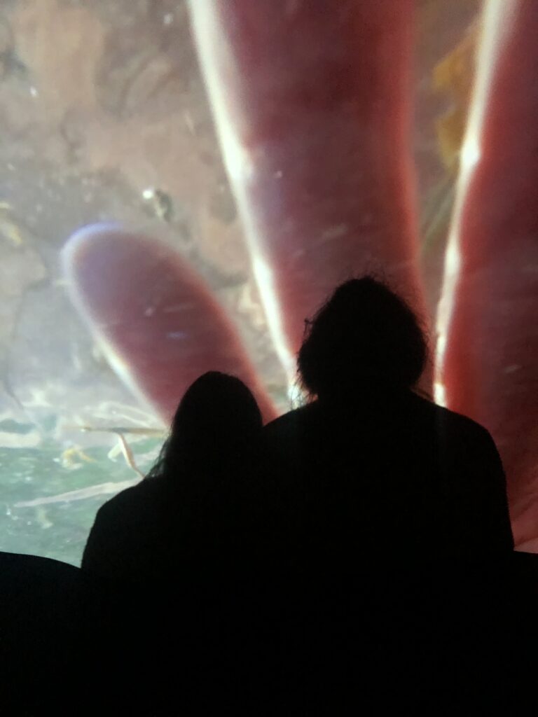 Five Frugal Things -- Free Museum Passes!