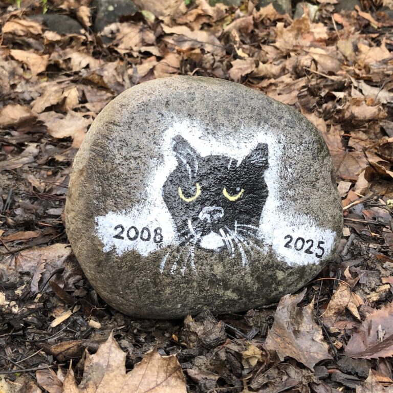 Five Frugal Things -- My Name's Not Blake!