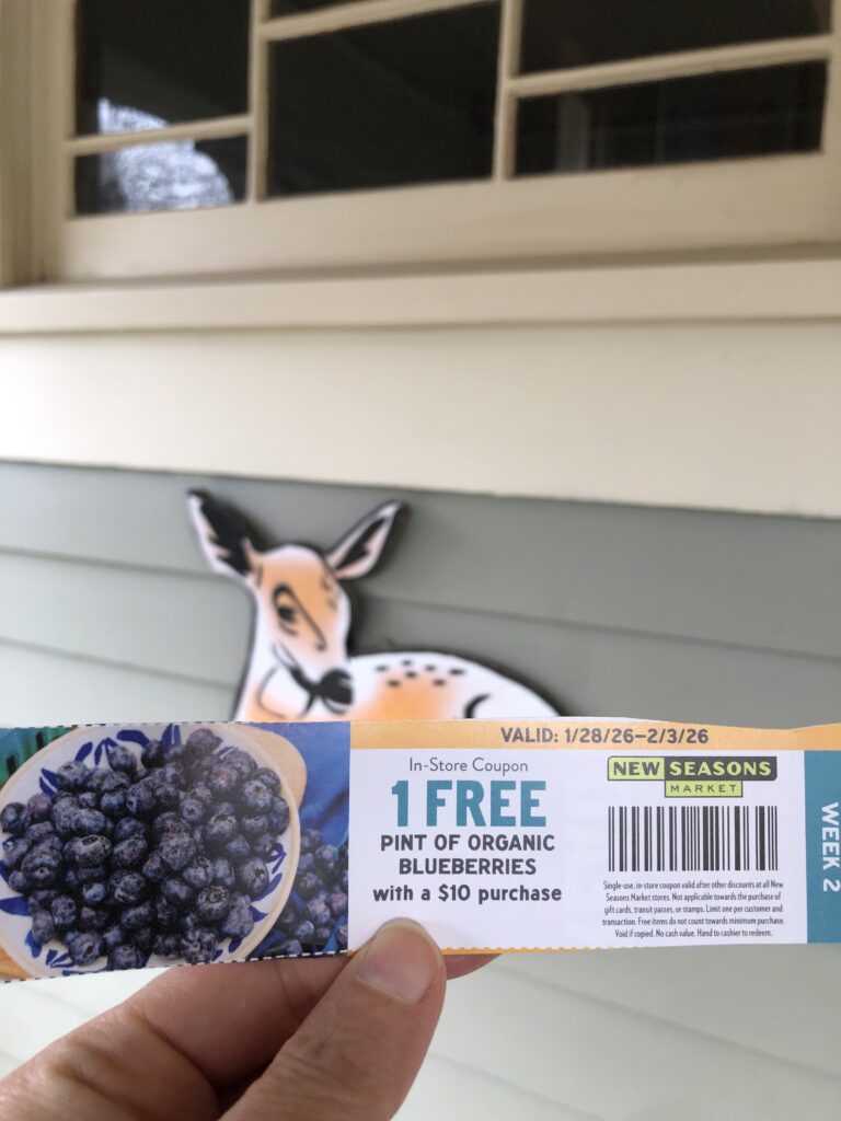 Five Frugal Things -- Anne Frank & Free Blueberries