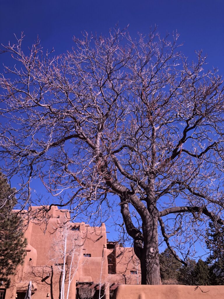 Non-Consumer Photo Essay -- Santa Fe