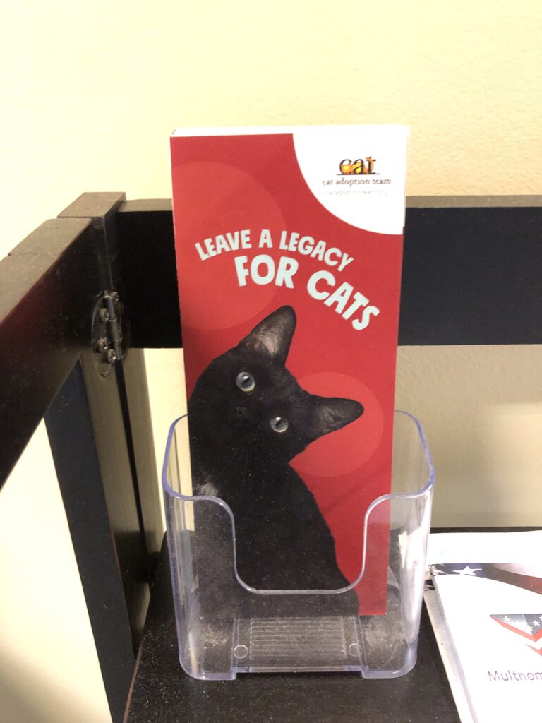 Five Frugal Things -- Cat Legacies & So Much Moss!