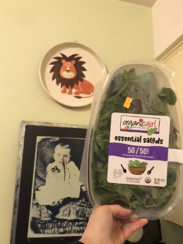 Thrifting & Grocery Shopping Adventures!