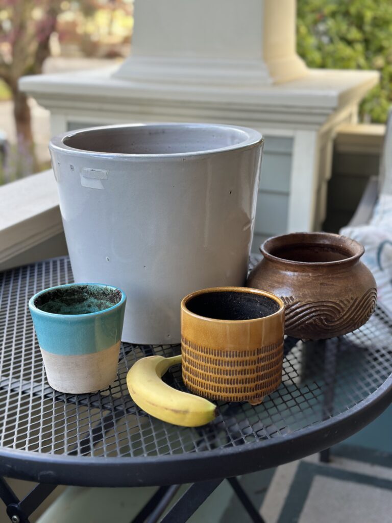 Five Frugal Things -- Free Flowerpots!