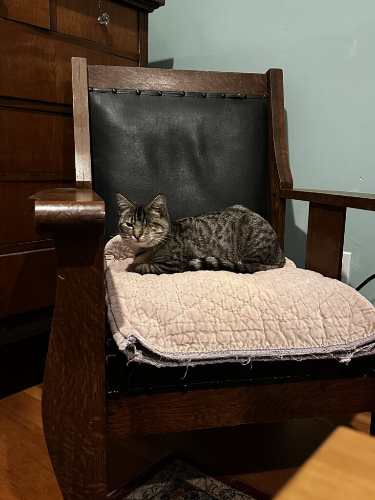 Five Frugal Things -- A Happy Basement Drain!