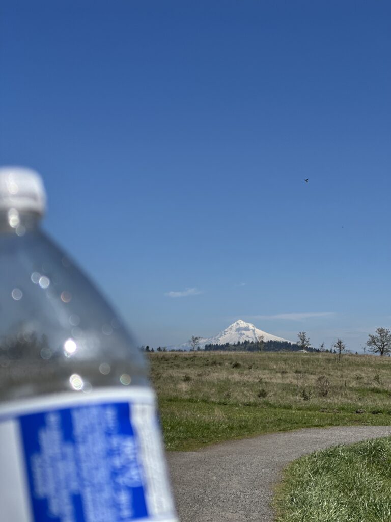 Four Frugal Things -- Powell Butte & Expired Cat Food