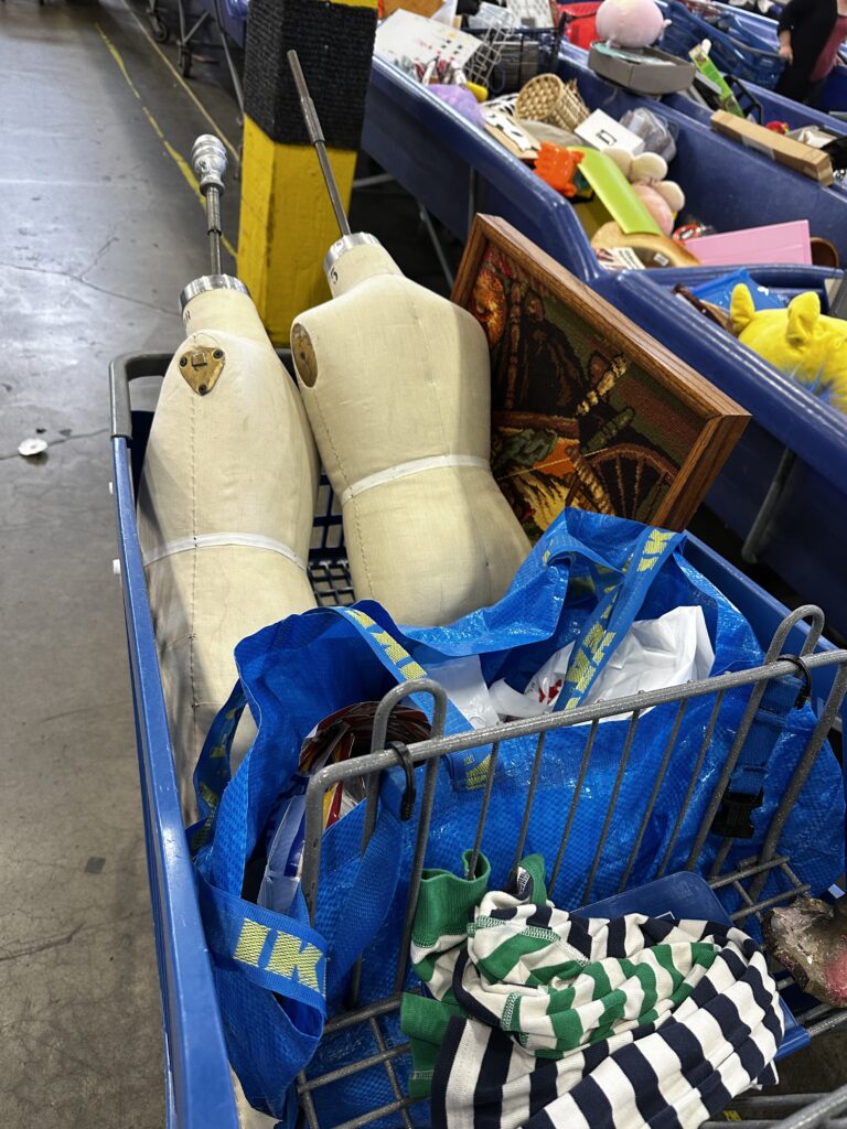 Best Day EVER at the Goodwill Bins!