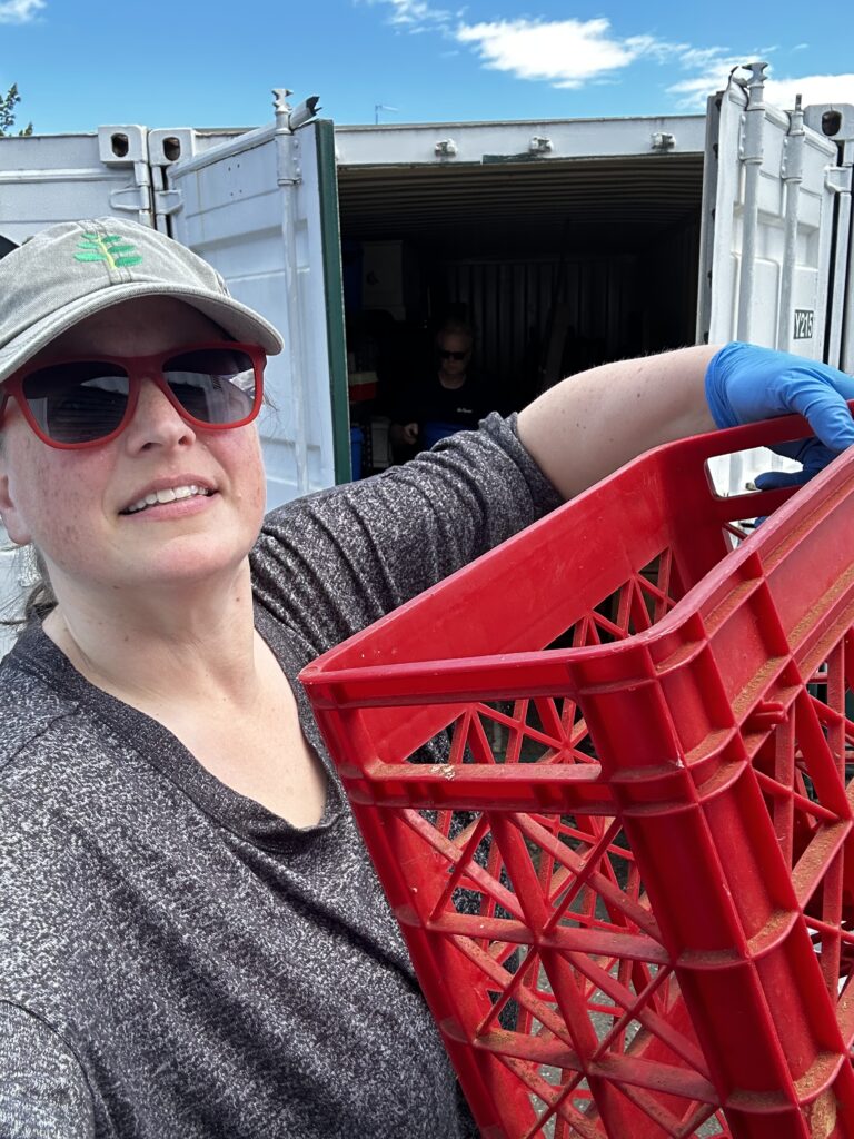Four Frugal Things -- More Stuff From The Storage Unit