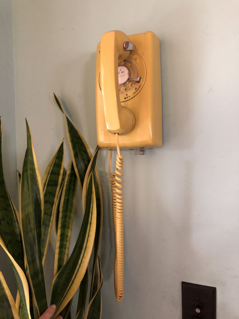 Five Frugal Things -- Kitchen Phones & Toilet Shampoo