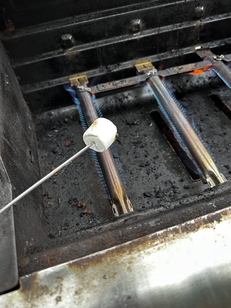 Five Frugal Things -- S'mores & Garage Organization