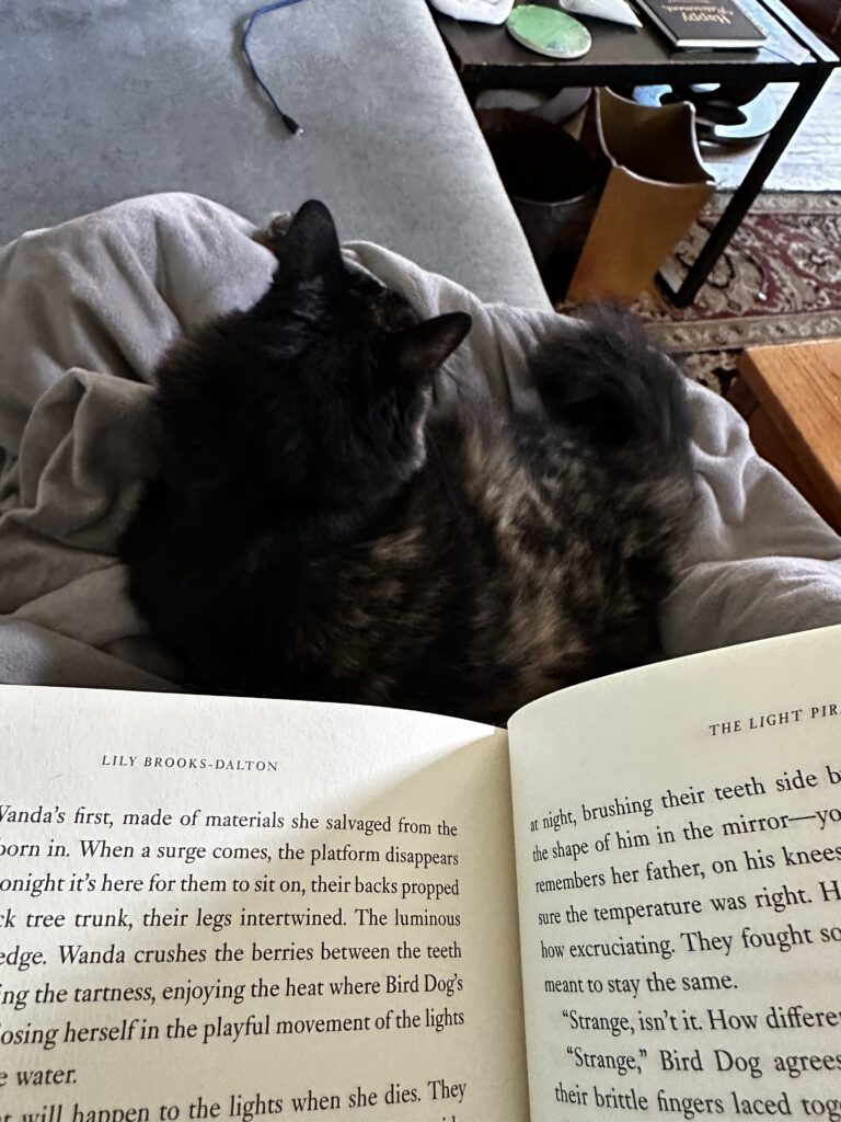 Four Frugal Things -- Library Books & Household Repairs
