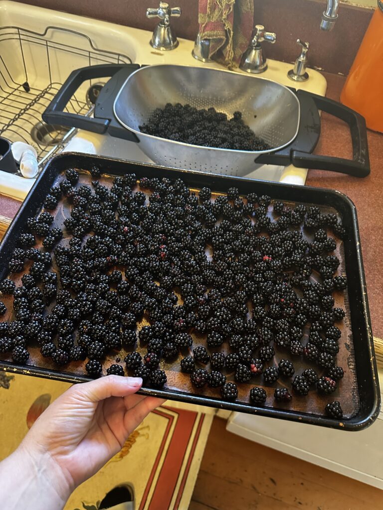 Five Frugal Things -- Summer is so Berry Sweet!