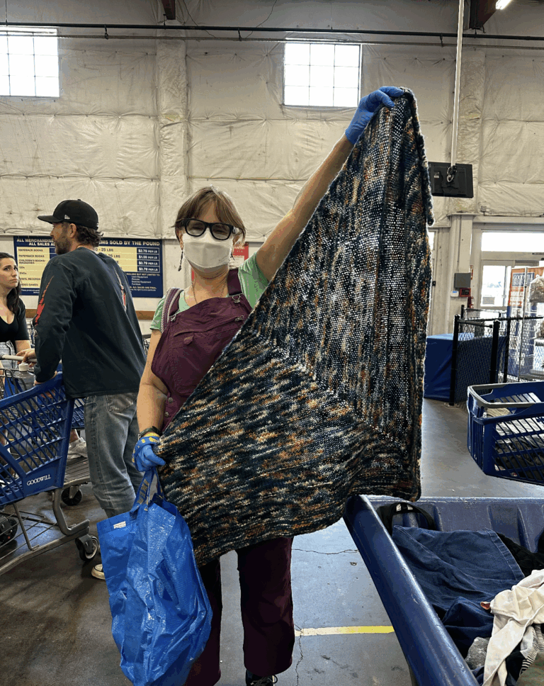 Goodwill, Badwill, Questionable-will -- Back at The Goodwill Bins!
