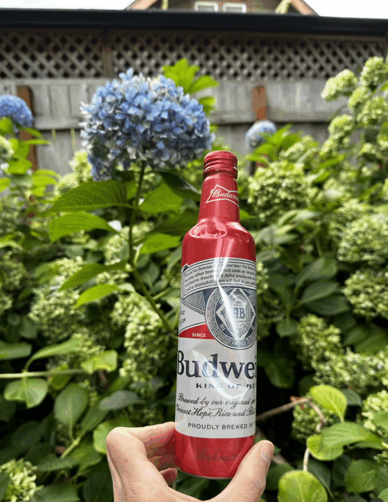 Four Frugal Things -- eBay Sales & 10¢ Cans!
