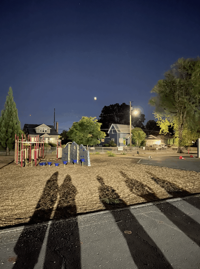 Four Frugal Things -- a Lunar Eclipse & Hippo Hardware