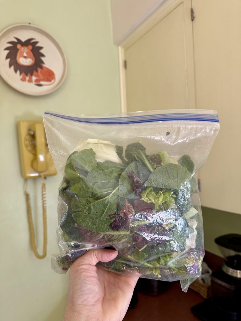 Five Frugal Things -- Free Salad Mix & Vacuum  Cleaner!