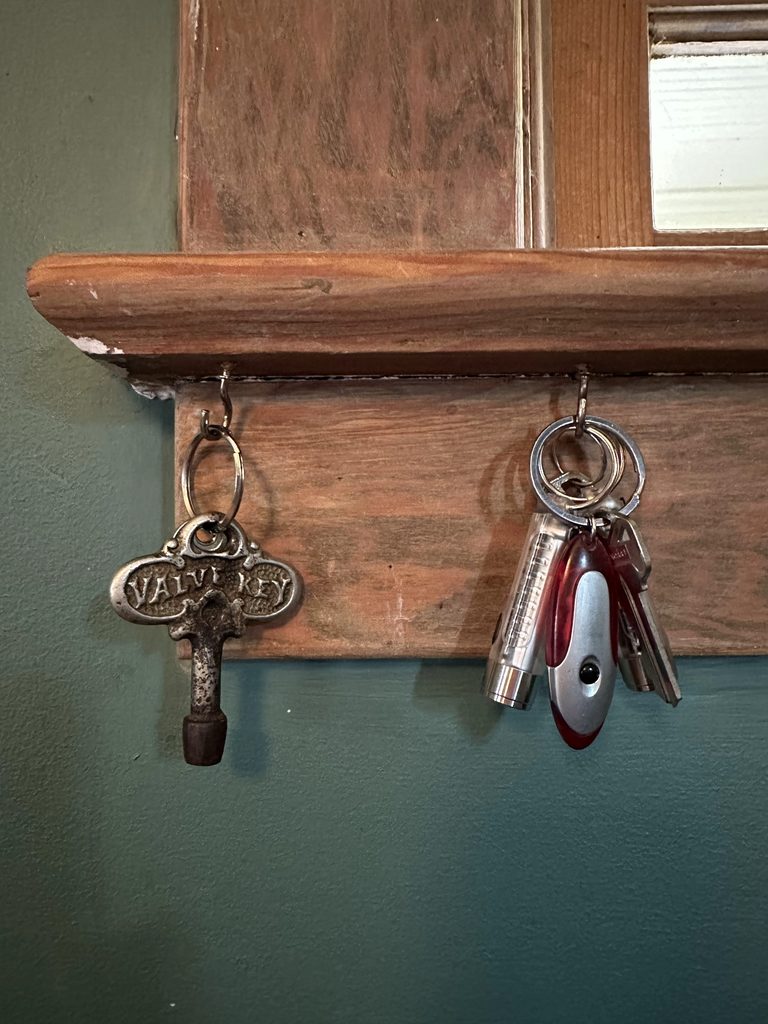 Four Frugal Things -- A Splurge That Transforms into Something Frugal