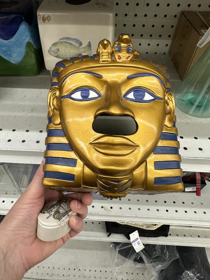 Back at Goodwill!
